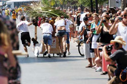 Conch Republic Days 2005 photo - Duval Street, Key West